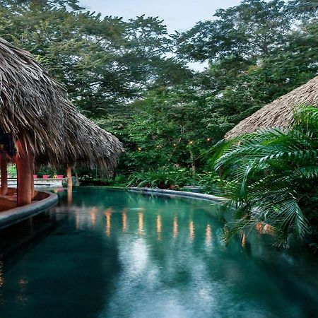 The Space Jungle Oasis San Juan del Sur Εξωτερικό φωτογραφία